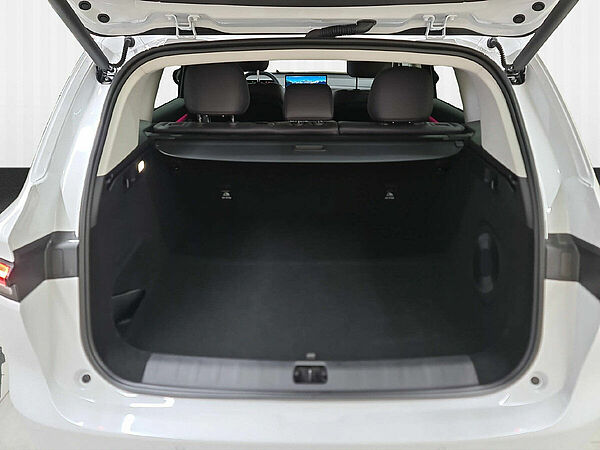 LEAPMOTOR C10